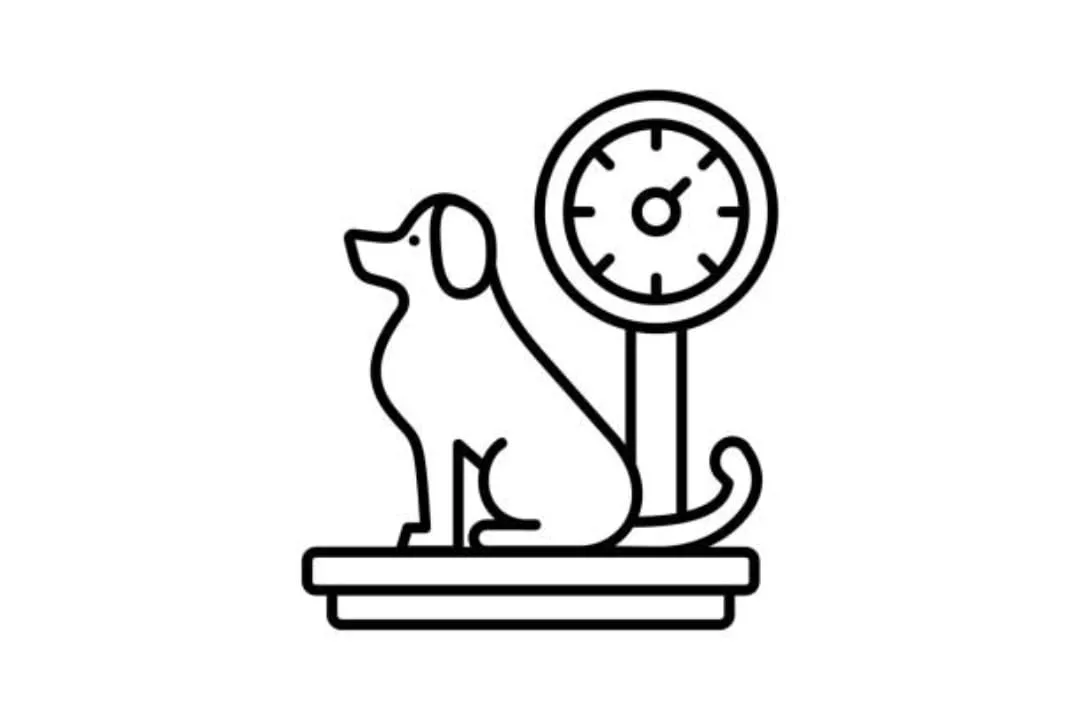 Dog on scale icon representing weight management