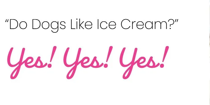 Do Dogs Like Ice Cream? Yes! Yes! Yes!