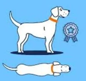 Just right dog weight